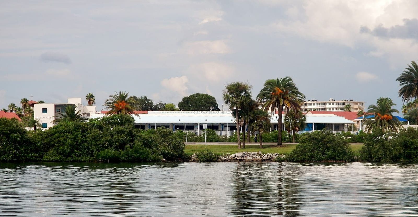Clearwater Marine Aquarium, photo 1