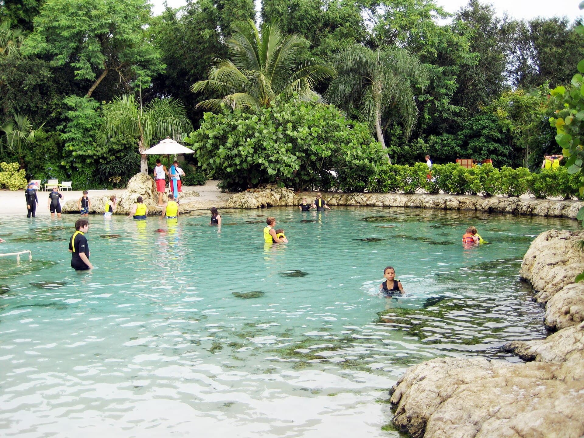 Discovery Cove Orlando, photo 1