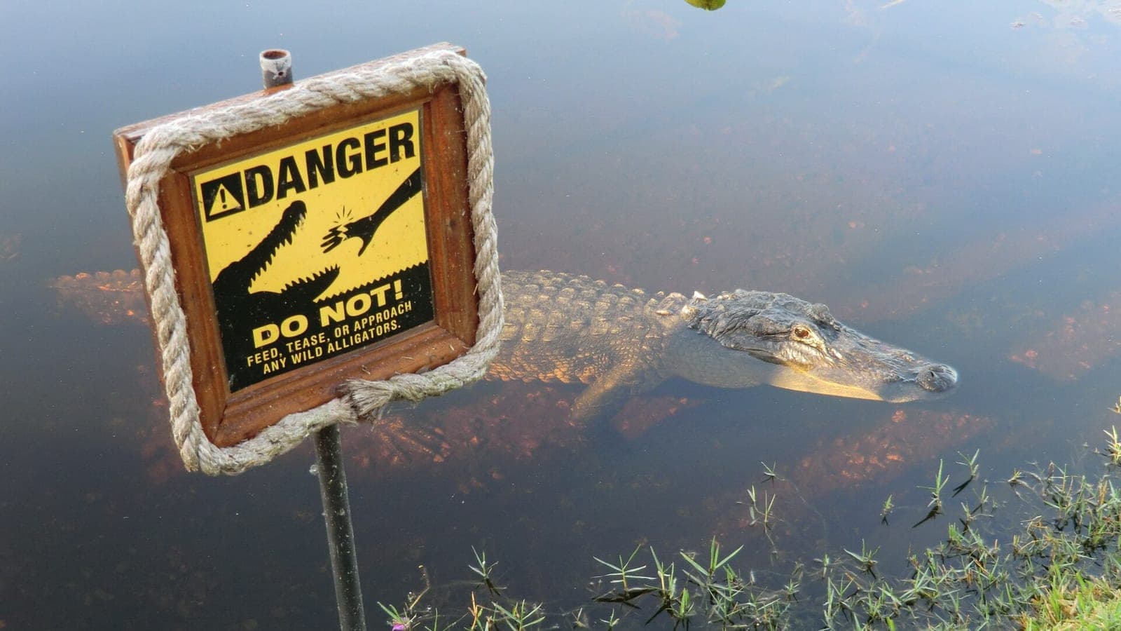 Everglades Safari Park
