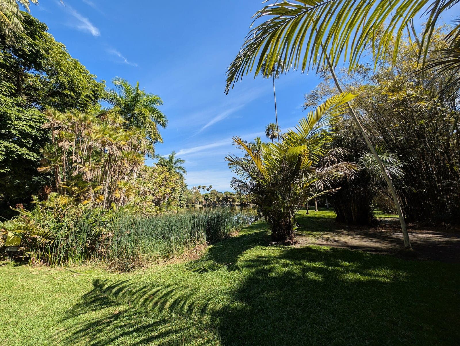 Fairchild Tropical Botanic Garden, photo 1