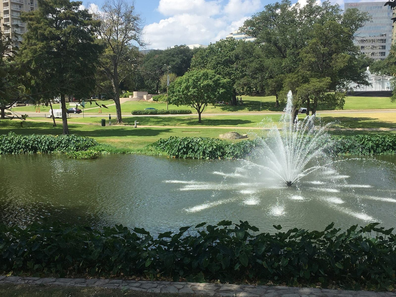 SpringHill Suites Dallas Downtown/West End