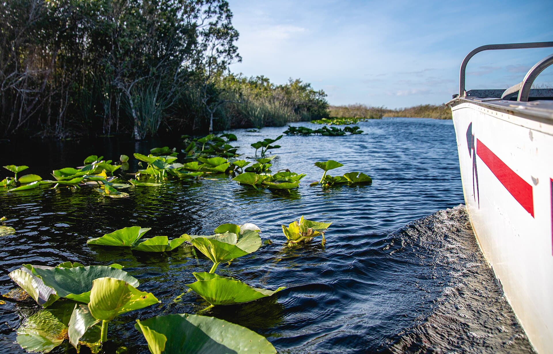 Everglades Alligator Farm, photo 1