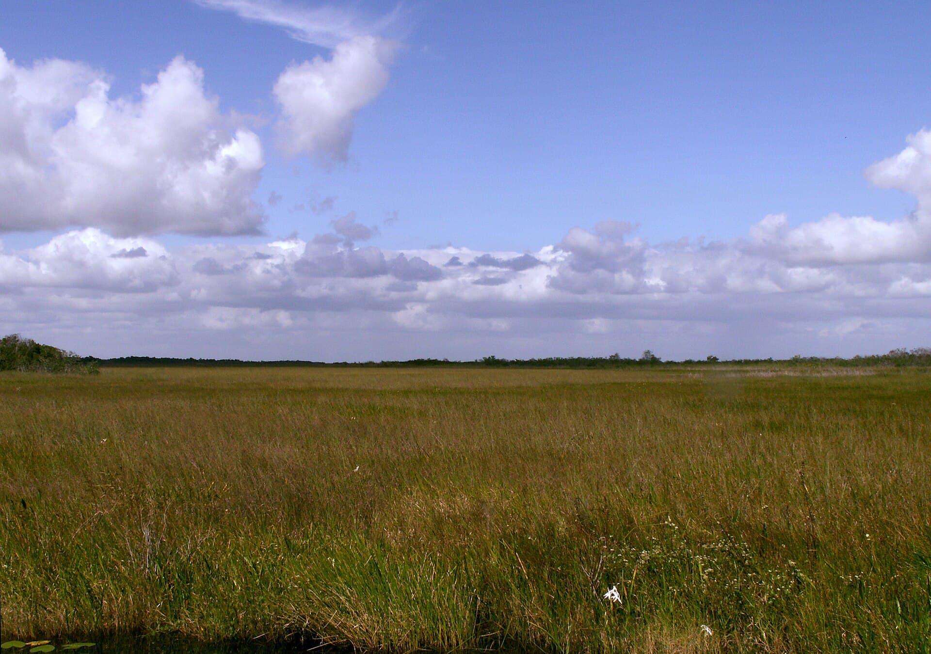 Orlando Everglades Join-In Airboat Tour (with Transportation), photo 1