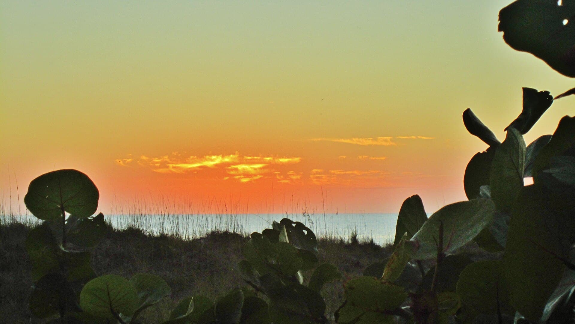 Inn on the Beach, photo 1