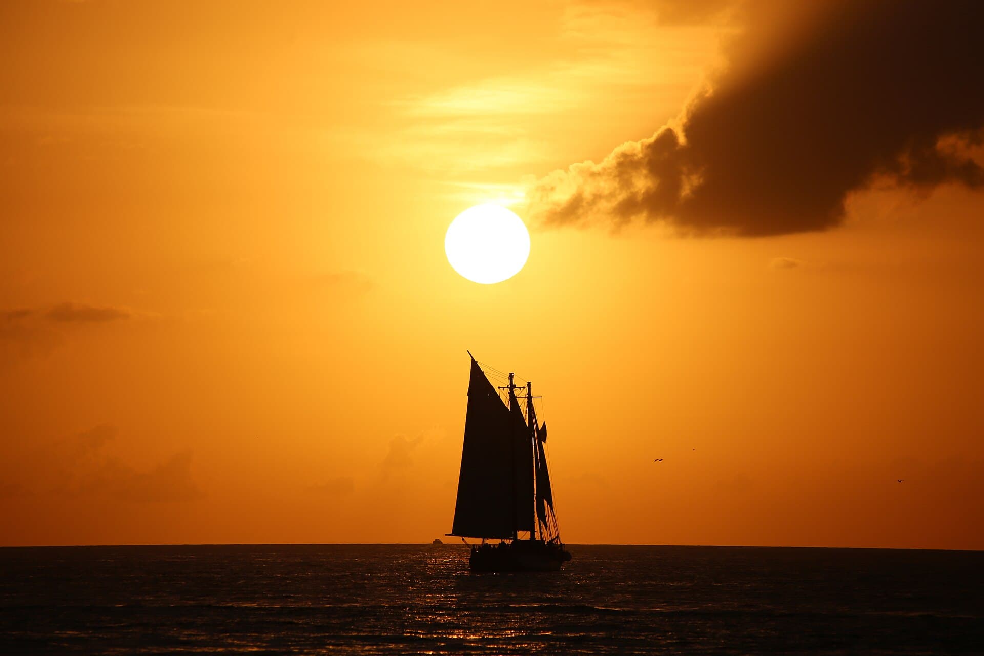 Fury Commotion on the Ocean Sunset Sail, photo 1