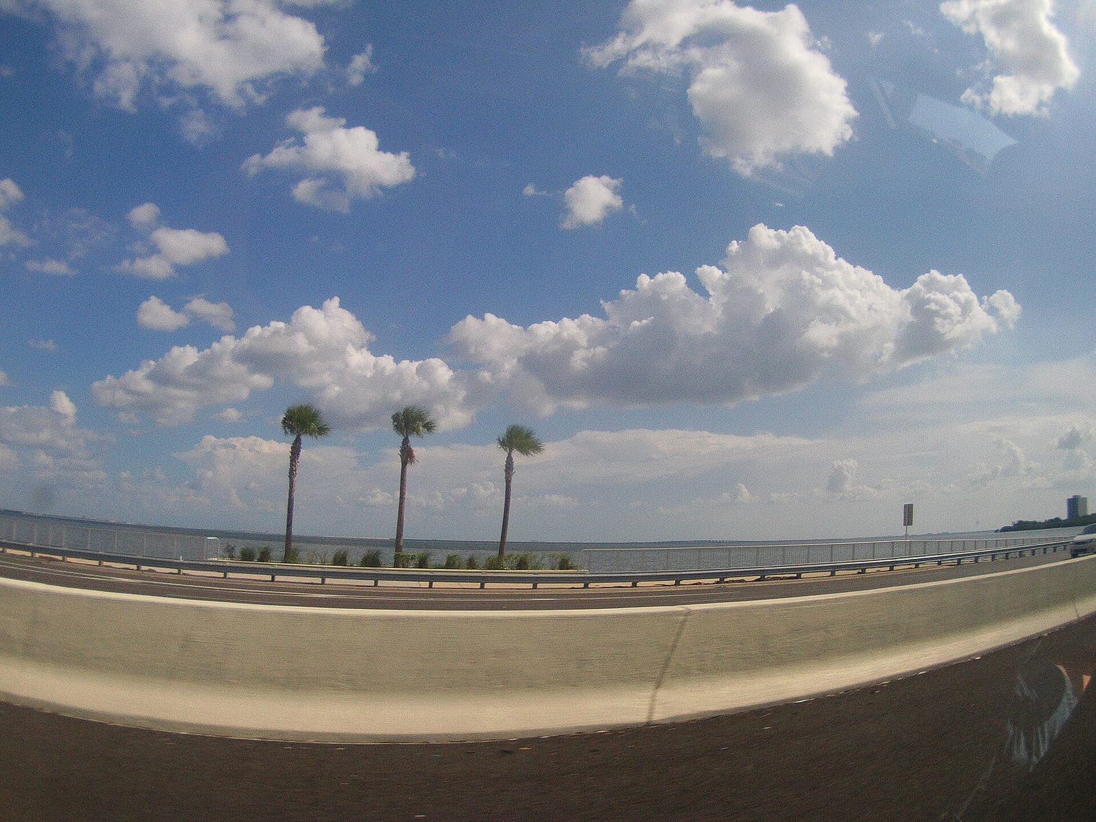 Grand Hyatt Tampa Bay